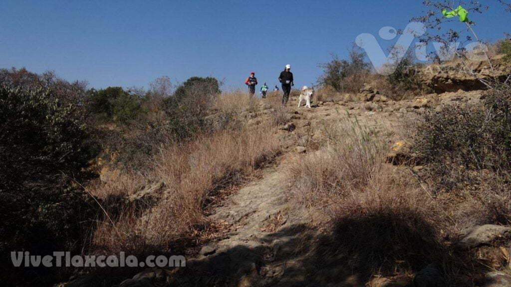 photo 84@15 03 2021 00 03 49 trail pena pilares-