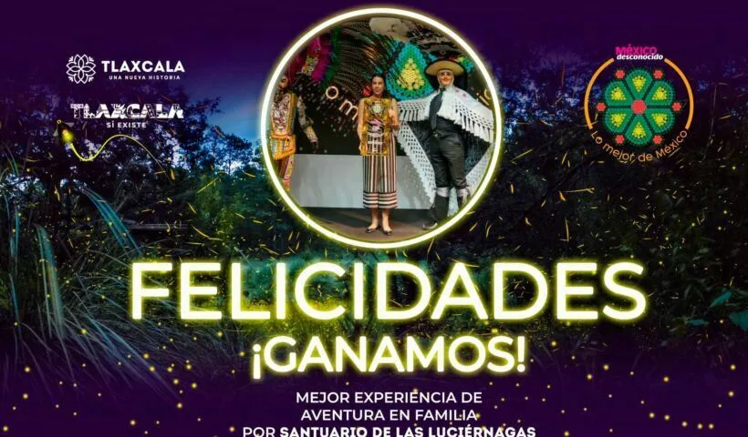 luciernagas-