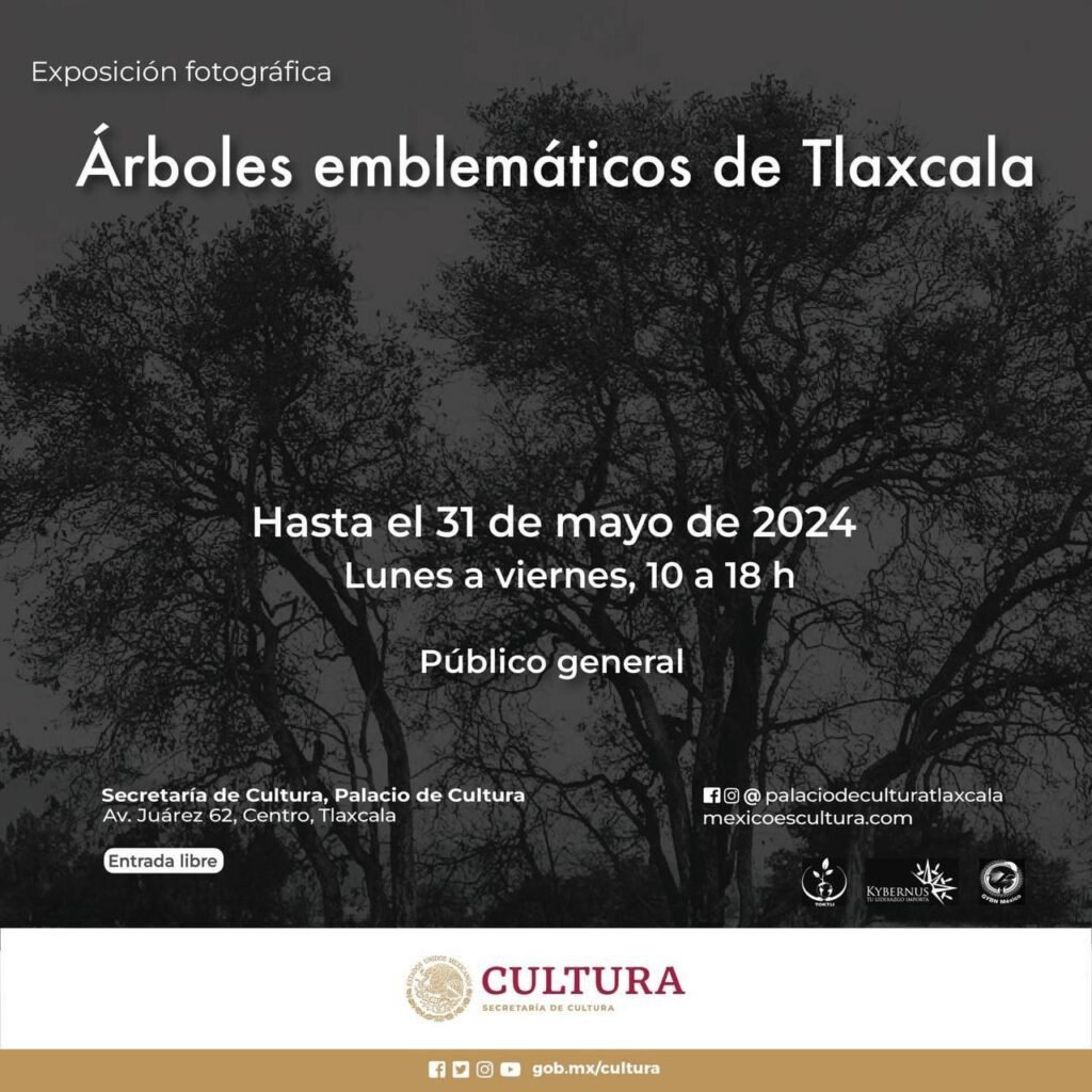 Cartelera cultural mayo 2024 17 image 11-