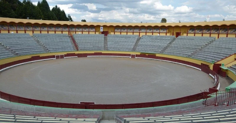 Gran Novillada de Año Nuevo 2026 3 Gran Novillada de Año Nuevo 2026