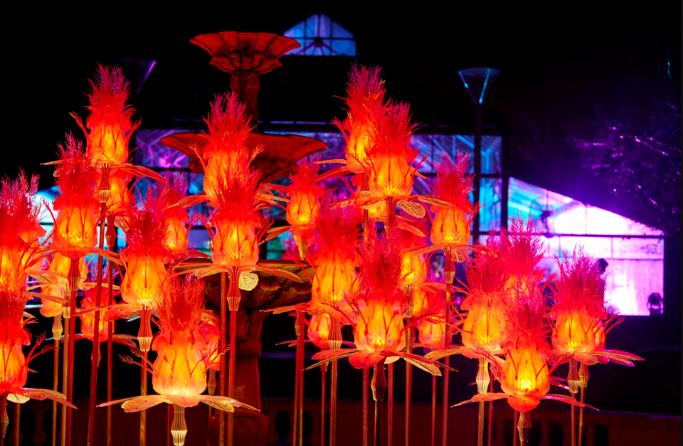 Glow Festival Puebla 2026