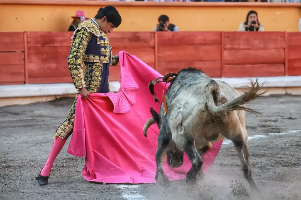 Éxito en la Novillada sin picadores de Año Nuevo en Apizaco 2026 4 Novillada sin picadores de Año Nuevo