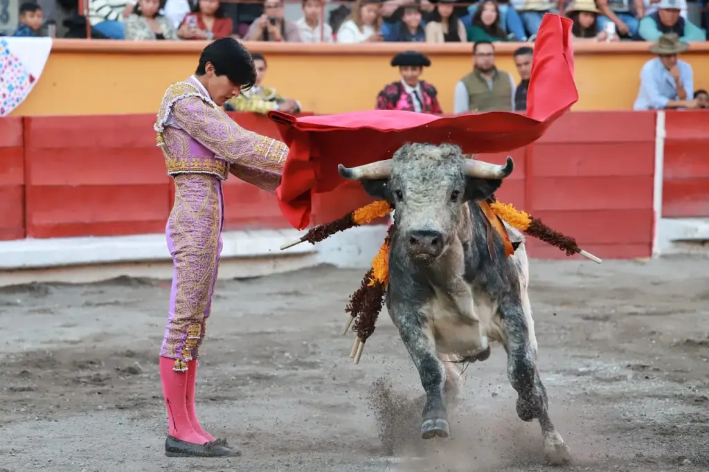 Éxito en la Novillada sin picadores de Año Nuevo en Apizaco 2026 7 Novillada sin picadores de Año Nuevo