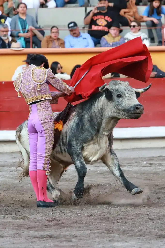 Éxito en la Novillada sin picadores de Año Nuevo en Apizaco 2026 9 Novillada sin picadores de Año Nuevo