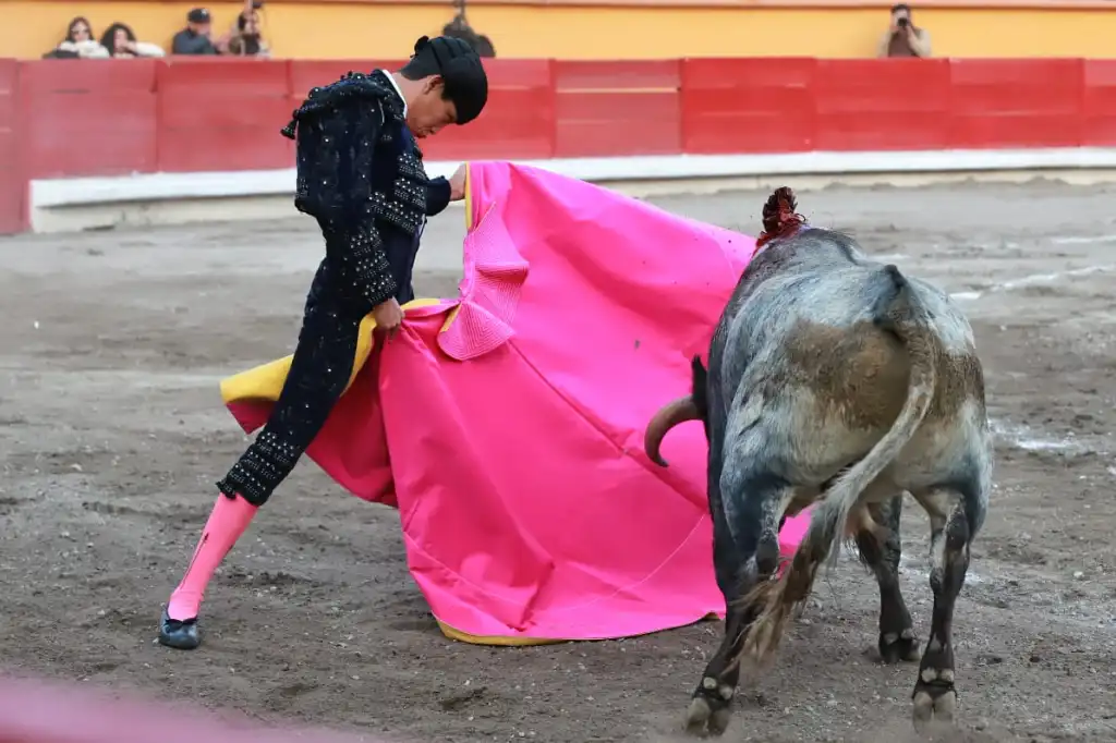 Éxito en la Novillada sin picadores de Año Nuevo en Apizaco 2026 12 Novillada sin picadores de Año Nuevo