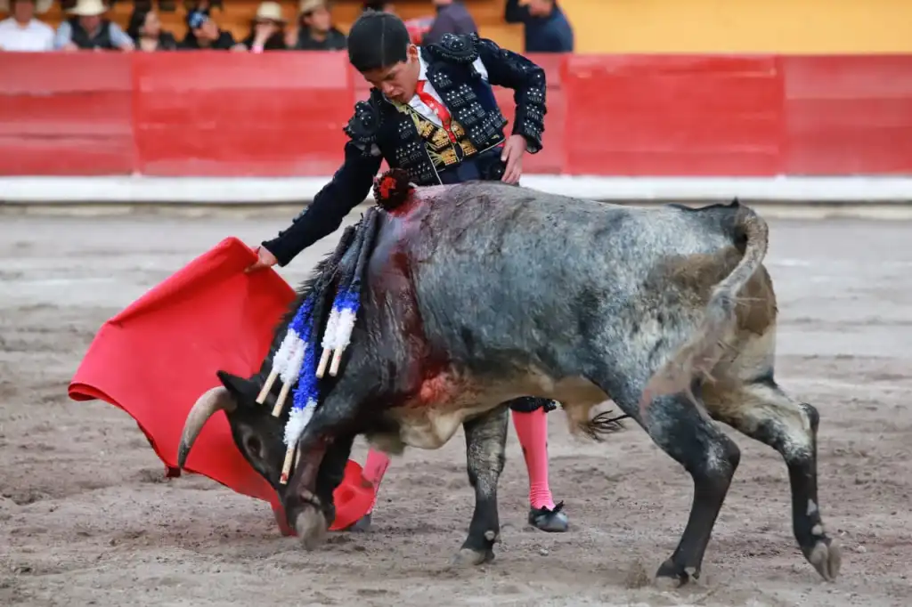 Éxito en la Novillada sin picadores de Año Nuevo en Apizaco 2026 10 Novillada sin picadores de Año Nuevo