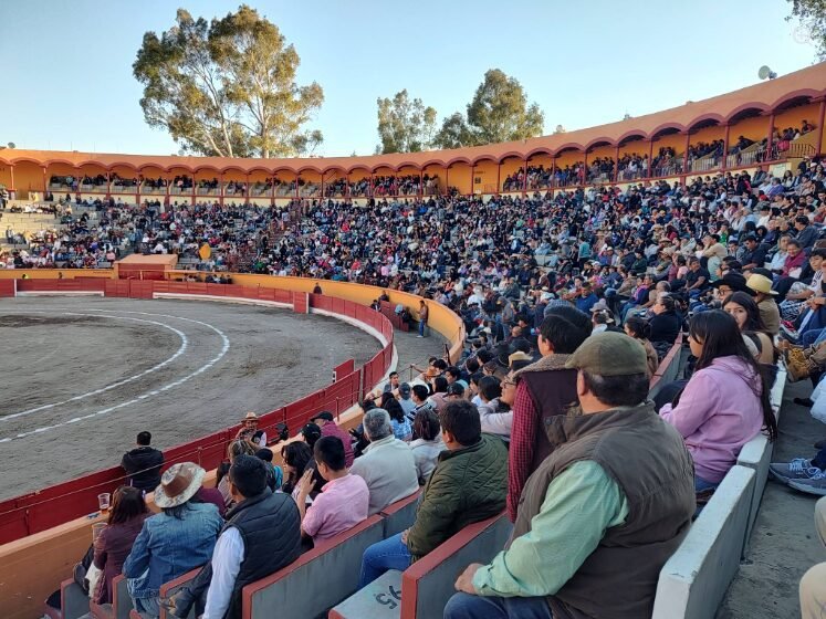 Novillada sin picadores de Año Nuevo