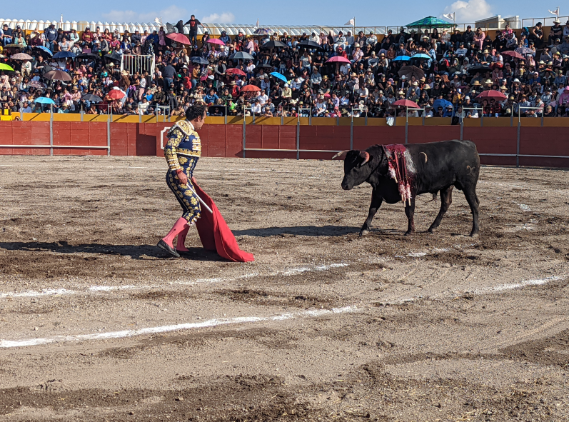 Corrida Mixta en Hueyotlipan: El encuentro entre la leyenda Angelino y la promesa Miriam Cabas 2 Corrida Mixta en Hueyotlipan