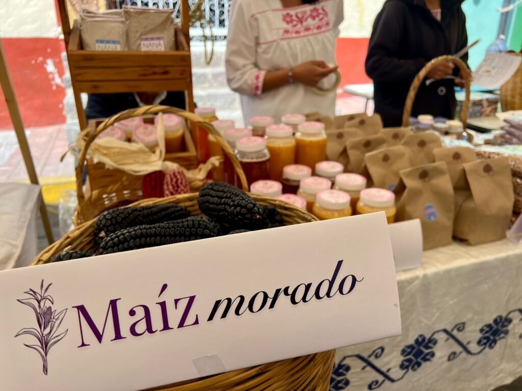 Ixtenco celebra 15 años de la Fiesta del Maíz: Corazón de la tradición otomí en Tlaxcala 3 WhatsApp Image 2026 03 30 at 9.22.48 AM 1-