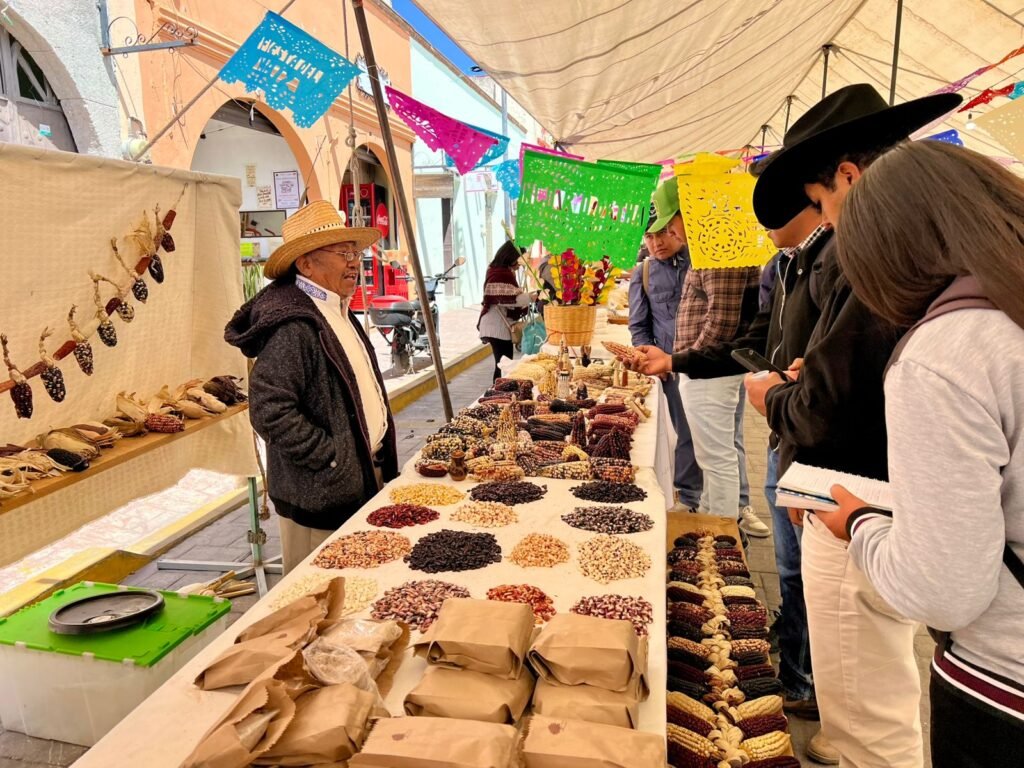 Ixtenco celebra 15 años de la Fiesta del Maíz: Corazón de la tradición otomí en Tlaxcala 4 WhatsApp Image 2026 03 30 at 9.22.48 AM-