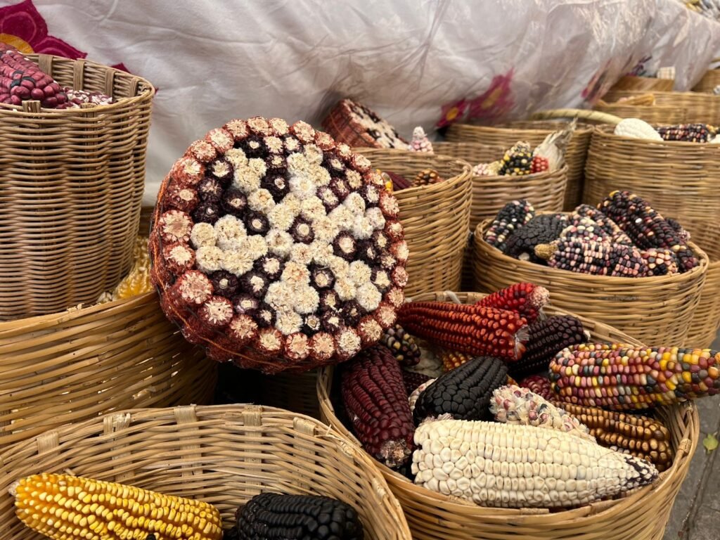 Ixtenco celebra 15 años de la Fiesta del Maíz: Corazón de la tradición otomí en Tlaxcala 2 WhatsApp Image 2026 03 30 at 9.22.49 AM 1-