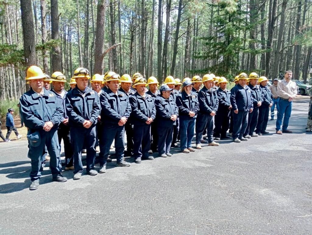 WhatsApp Image 2026 04 02 at 1.16.20 PM 2-